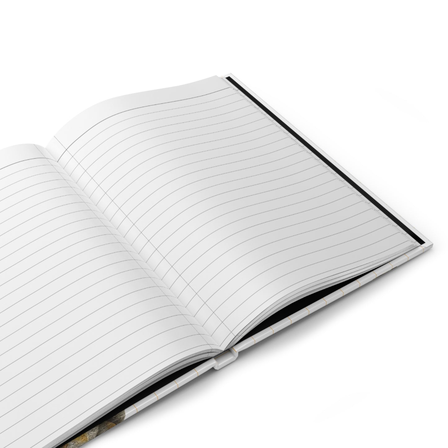 Brighter Days Hardcover Journal